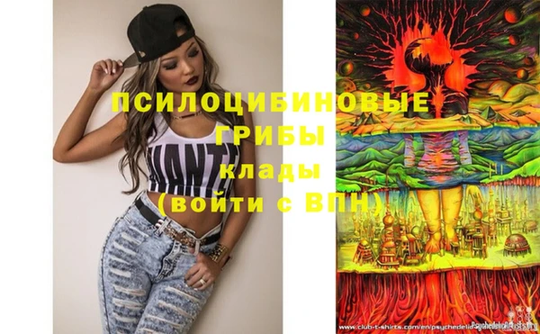 гидропоника Фурманов