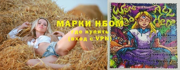 метадон Елизово