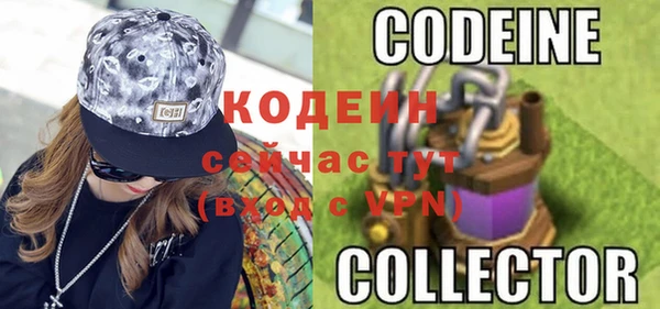 метадон Елизово