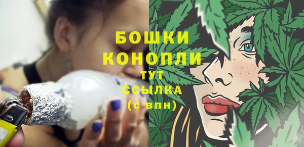 метадон Елизово