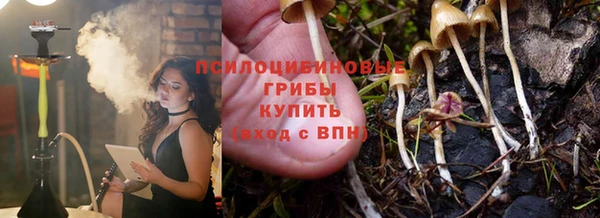 метадон Елизово