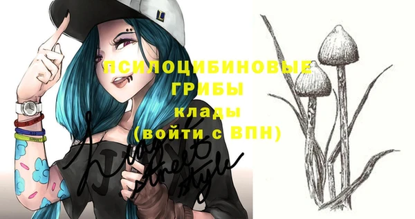 метадон Елизово